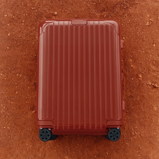 Discover colourful favourites