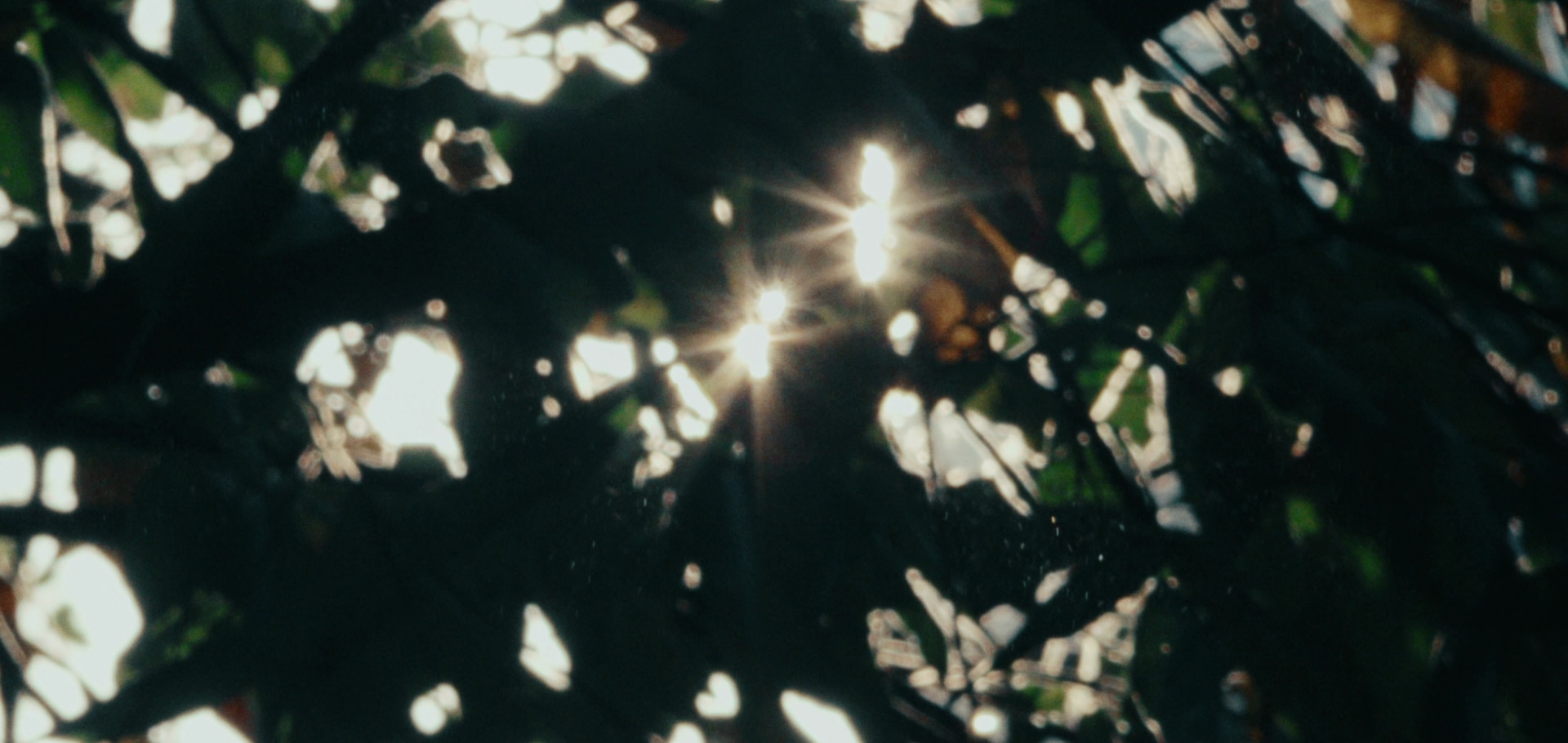 Video Never Still campaign
