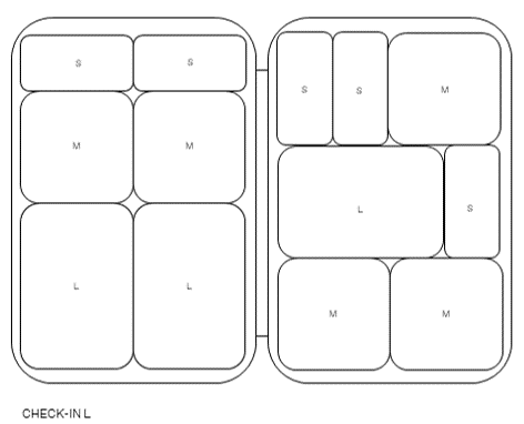 Packing Cube Check-In L