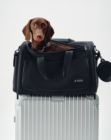 Travel accessories