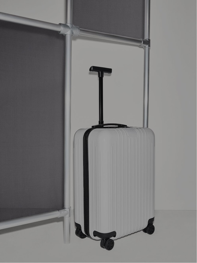 order luggage online