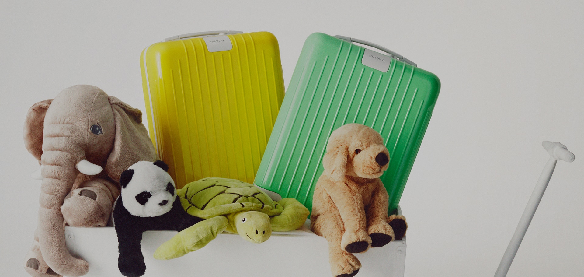 Essential Lite Kids: Engineered for Little Explorers