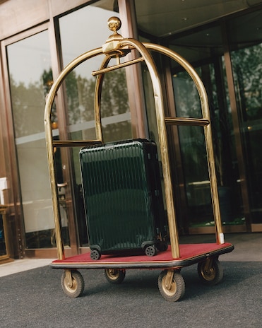 Picture of a business luggage