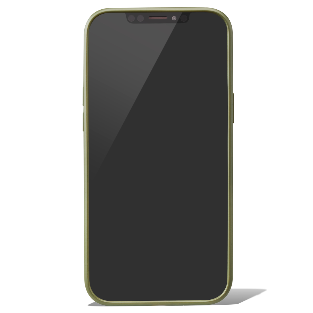 Cactus Green Case for iPhone 12 Pro Max image number 1