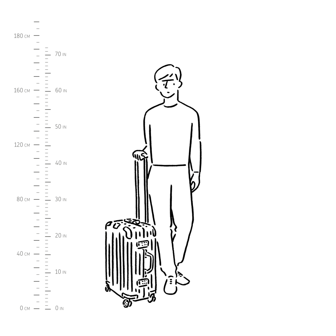 rimowa cabin plus dimensions