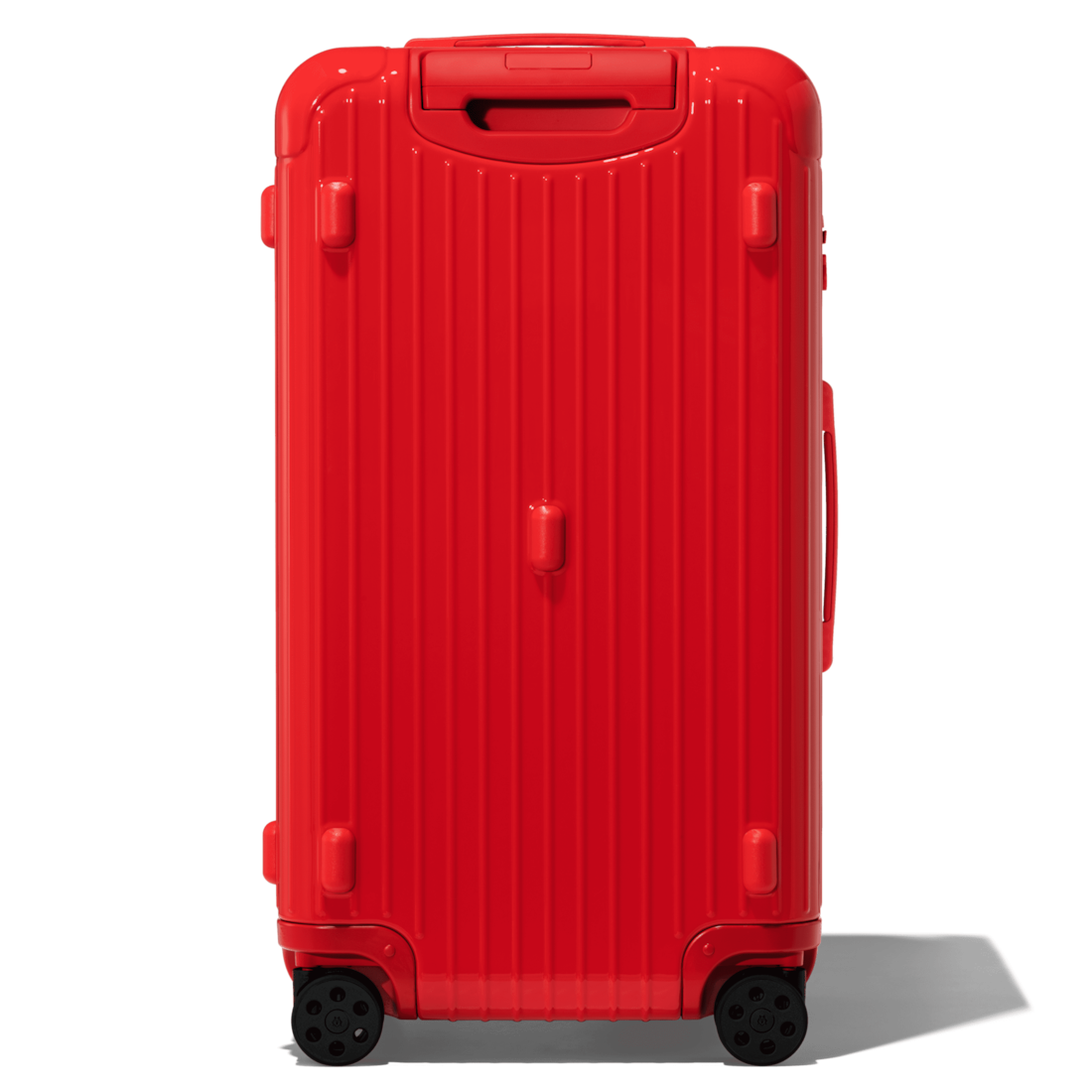Trunk image number 3