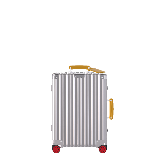 RIMOWA Classic - Suchprice® 優價網