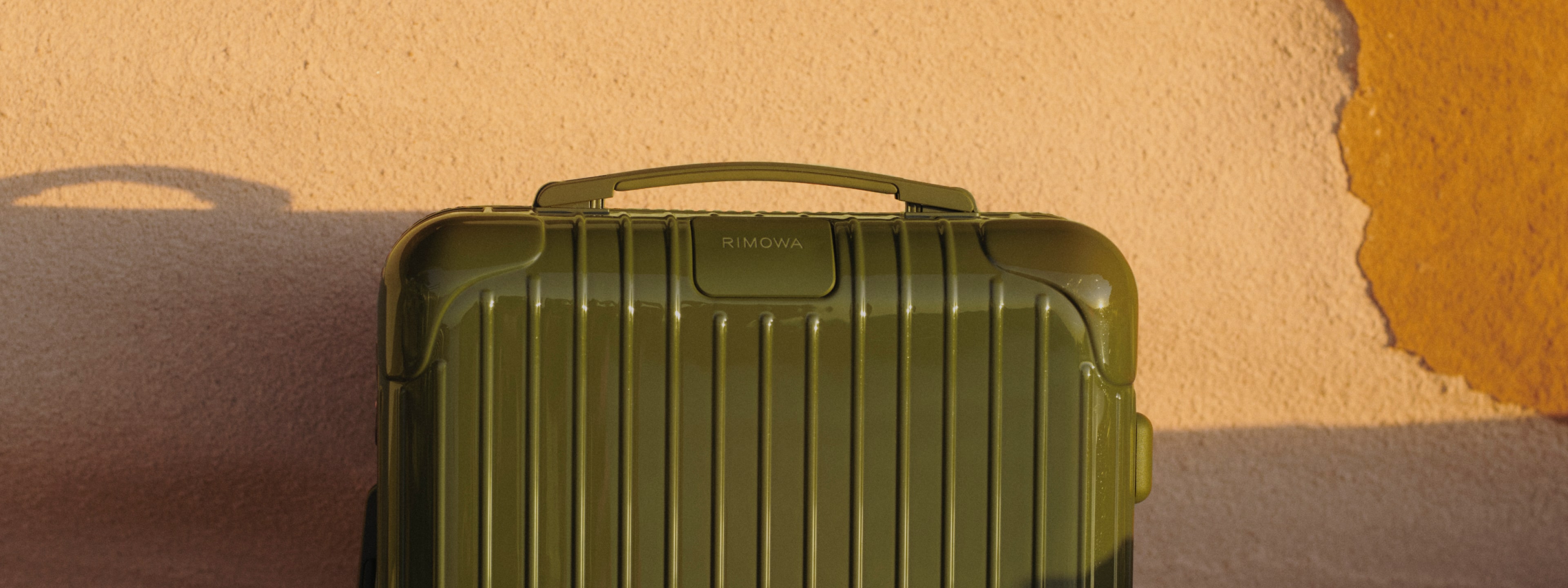 Cactus Green Groove Cases for iPhone